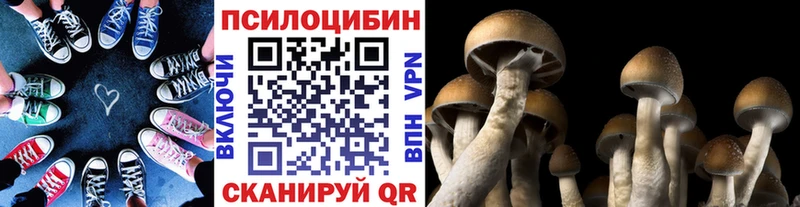закладка площадка состав Галлюциногенные грибы MAGIC MUSHROOMS Усмань